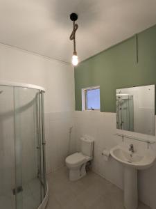 科伦坡帕尔米拉住宅酒店的浴室配有卫生间、盥洗盆和淋浴。