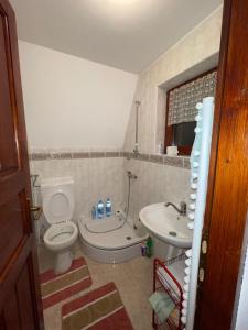 弗拉西克Oaza mira Vlasic的一间带卫生间和水槽的浴室