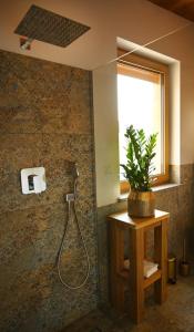 库多瓦-兹德鲁伊Apartamenty u Harrego BOUTIQUE SPA的墙上植物淋浴的浴室