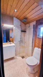 耶卢Skurdalsvegen 37L的浴室配有卫生间、盥洗盆和淋浴。