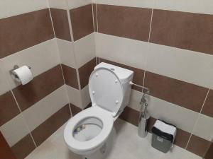 Gornja ToplicaIme Ruze apartmani Banja Vrujci的一间带卫生间和垃圾桶的浴室