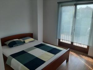 Gornja ToplicaIme Ruze apartmani Banja Vrujci的一间卧室设有一张床和一个大窗户