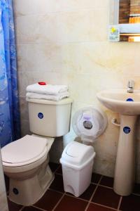 塔甘加Hotel San Marcos Taganga的一间带卫生间和水槽的浴室