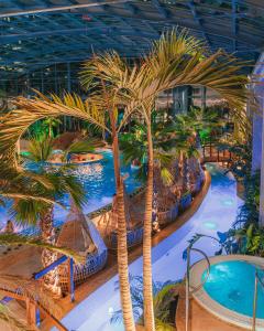 凯尔采宾科文斯基酒店的一座大型室内游泳池,里面种植了棕榈树,设有滑梯