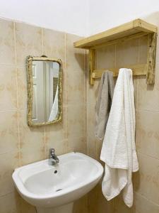BrusubiTRANQUIL RESORT HOTEL的浴室设有白色水槽和镜子