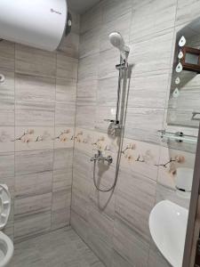 希典Комплекс Джулай Морнинг的带淋浴和盥洗盆的浴室