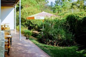 基加利INZOZI AFRICA HOUSE B&B-Kimihurura的一个带遮阳伞、长椅和灌木的庭院