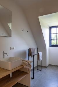 龙塞Vakantiehuis Muziekbos - 20 personen的一间带水槽和镜子的浴室