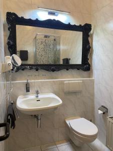 爱尔福特Bärliner Hotel的一间带水槽、卫生间和镜子的浴室