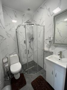 乌日霍罗德Forsage Hotel的带淋浴、卫生间和盥洗盆的浴室