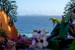 ParaguachiCala Margarita Hotel的从种满鲜花的花园欣赏到海景