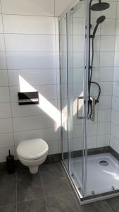 HólmurHH Gisting/Guesthouse的一间带卫生间和玻璃淋浴间的浴室