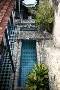 伊萨马尔Coqui Coqui Casa de los Santos Izamal - THE ONLY ONE SUITE COLLECTION的花园中的一个水池