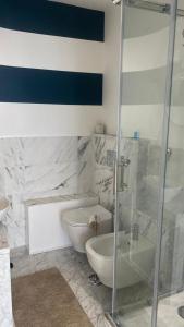 马瑞纳迪卡拉拉Stupenda camera vista mare con finiture di lusso的带淋浴、卫生间和盥洗盆的浴室