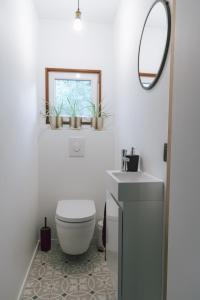 BalenImagine Tiny House 325 op Camping GT te Balen的一间带卫生间、水槽和镜子的浴室