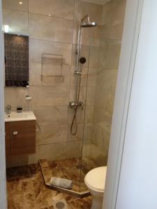 阿尔戈斯托利翁Ionian residence的带淋浴、卫生间和盥洗盆的浴室