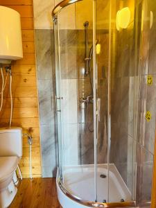 德兹维济诺Lazur domki wypoczynkowe的浴室里设有玻璃门淋浴