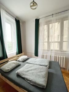 克拉科夫Nice View Rooms In Old Town的一间卧室配有一张带两个枕头的床