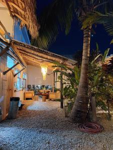 拉斯特拉纳斯君悦厄尔尼诺巴拉塔酒店的棕榈树和建筑的度假村