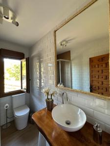 BrezAIRE DE PICOS的一间带水槽、镜子和卫生间的浴室