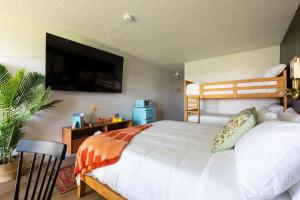 大学城Hotel McCoy - Art, Libations, Pool Society的一间卧室配有一张床和一台平面电视