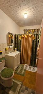 夏洛特阿马利亚Smitty's Home Away From Home的一间带水槽、卫生间和淋浴的浴室
