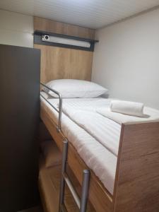 帕科坦Hipo camp Mobil home Arta的一个小房间,设有一张双层床,并有梯子