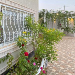 Al Liqāʼشاليهات لانتانا الفندقية的建筑里种植园里种着鲜花的阳台