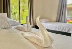 托尔图格罗Carey Lodging的床上用毛巾制成的两天鹅