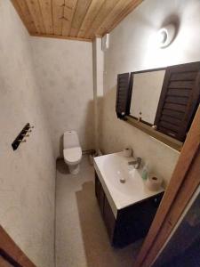 RottnerosGula huset的一间带水槽、卫生间和镜子的浴室