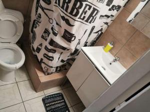 圣丹尼斯Appartement idéalement situé的浴室设有水槽和带鞋的浴帘。