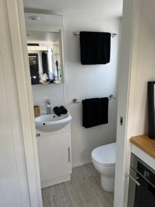 凯阿玛SALTY SOUL KIAMA - Tiny House By the Ocean的白色的浴室设有卫生间和水槽。