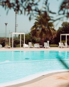 卡布拉斯Hotel Gran Torre的一个带椅子的游泳池,并种植了棕榈树