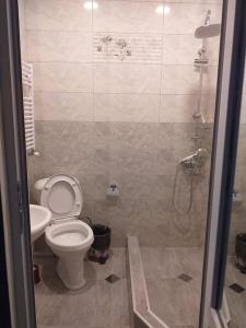 巴库里阿尼Дом гарах的一间带卫生间和淋浴的浴室