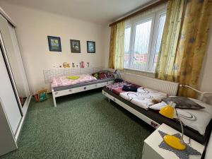 新赫拉迪Apartmány MK u MODRÉ KOČKY的小房间设有两张床和窗户