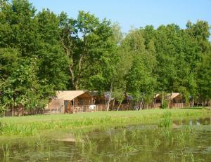 扎托尔Zatoria Luxury Glamping ZATOR的一群小屋和树,靠近水体