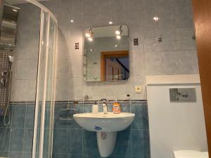 格但斯克Kauris Apartament的一间带水槽、淋浴和镜子的浴室