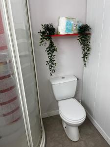 Saint-Jean-sur-MayennePetite maison sympa的一间带卫生间和架子上植物的浴室