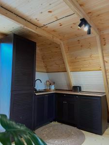 巴统Sun House的木屋内的厨房,设有木制天花板
