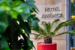 巴塞罗那美国巴塞罗纳酒店的在美国旅馆前红锅里的植物