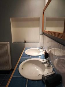 AndenneMégi des Aguesses的浴室设有2个水槽和镜子
