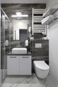 纳梅斯武夫Dworek Różany Hotel & Restauracja的一间带卫生间、水槽和镜子的浴室