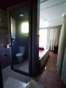 拉瑙Highland Homestay Kundasang的一间带卫生间、淋浴和镜子的浴室
