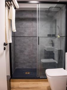 马德里VR OBREGON APARTMENTS的浴室设有玻璃淋浴间和卫生间