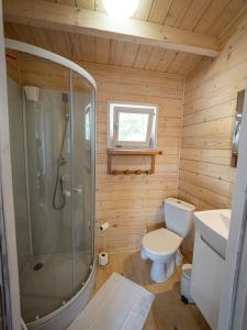 Kolorowe Zacisze的一间带卫生间和淋浴的小浴室