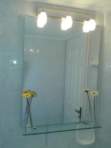 尼基亚娜Aggeliki Apartments的浴室里一面镜子,两瓶花花