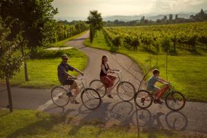 Napareuli罗泊塔湖度假村Spa酒店的一群人骑着自行车沿着马路