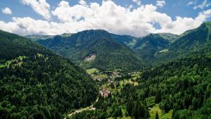 Statjunea BorsaHotel Roman Maramures - Ski & Spa Resort的享有山谷的空中美景和山景