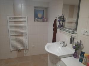 布赫洛维采Apartmán LUKA的白色的浴室设有水槽和镜子