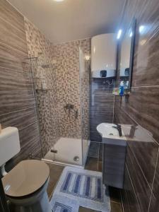 班约勒Studio apartment LENI的浴室配有卫生间、盥洗盆和淋浴。